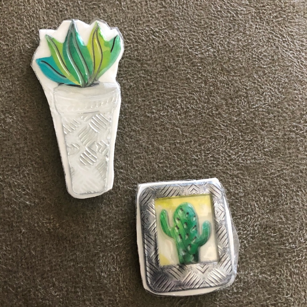 Succulent magnet set - Picture 4 of 6
